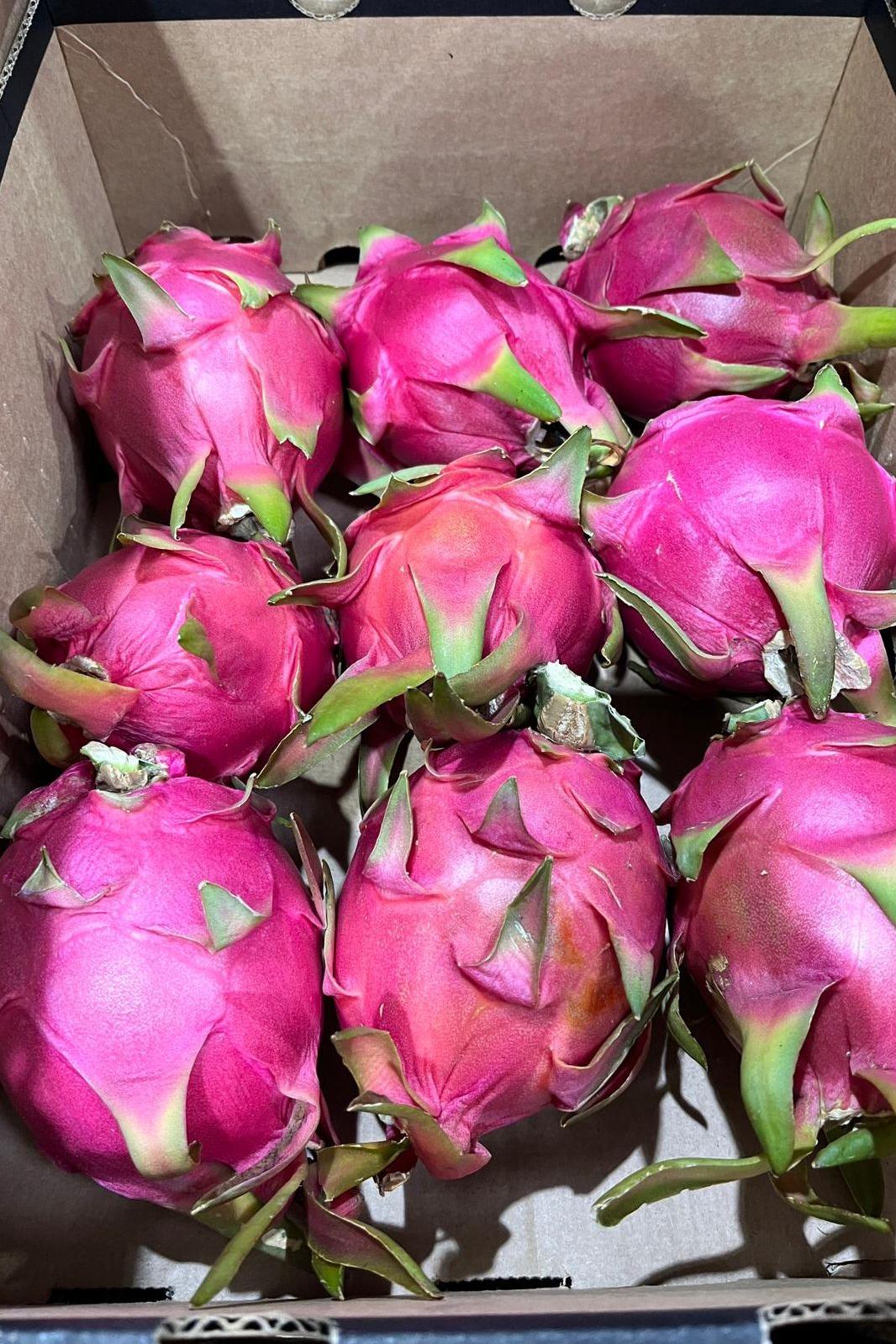 Dragon Fruit