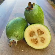 Pineapple Guava