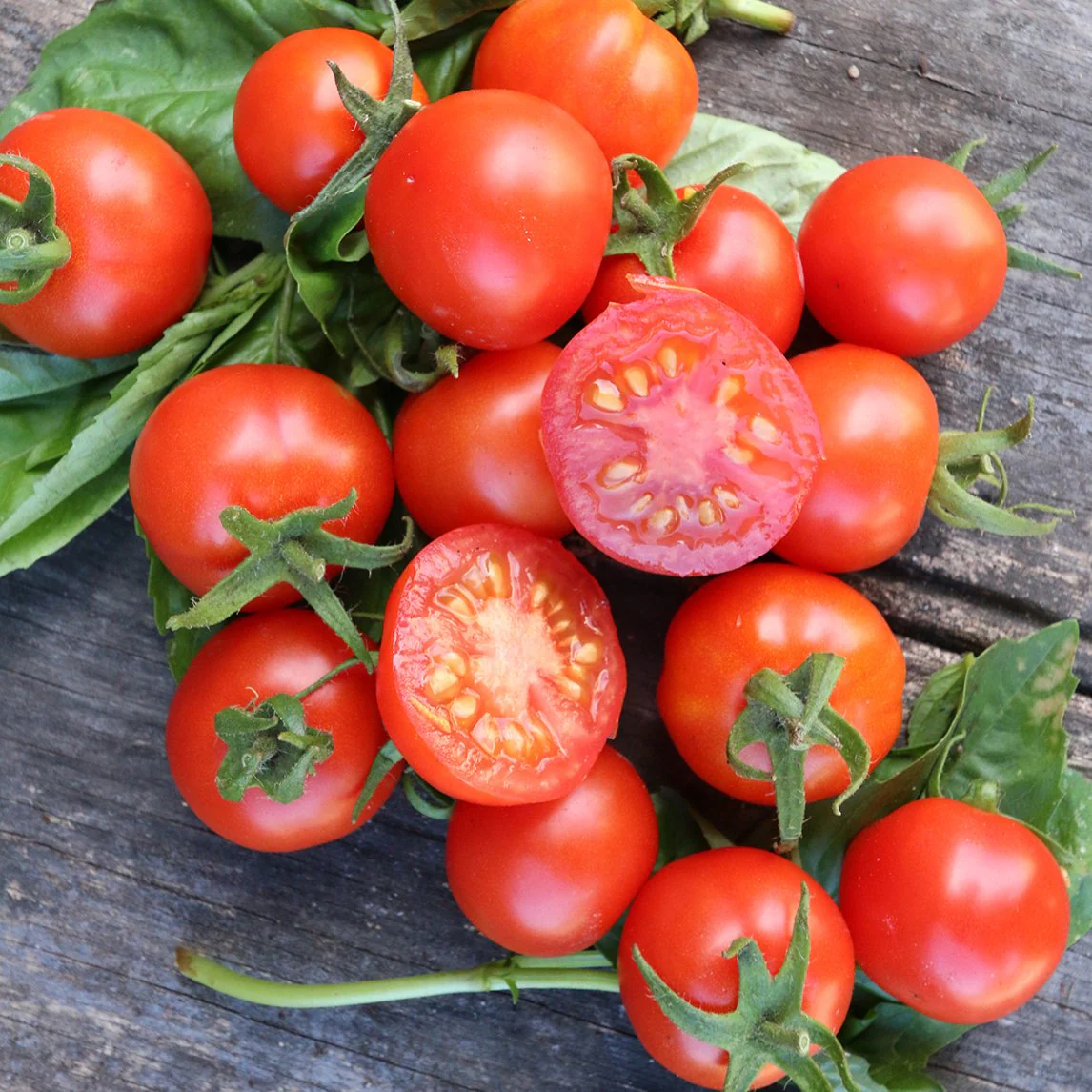 Tomatoes